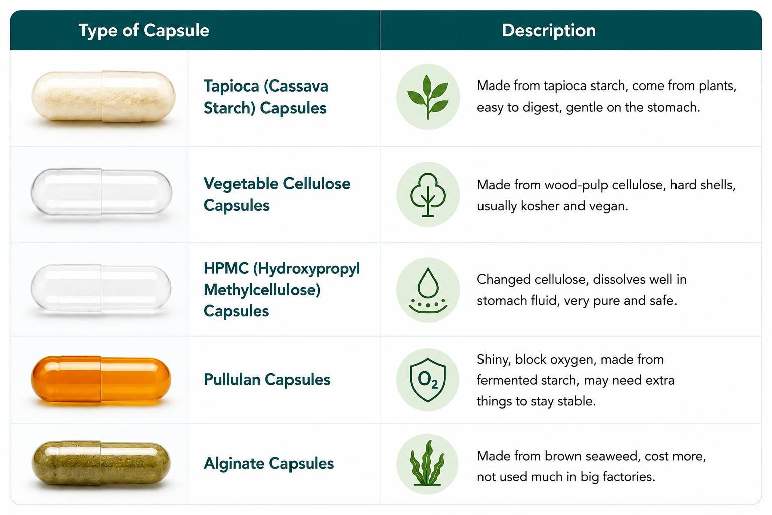 Types of Vegetable