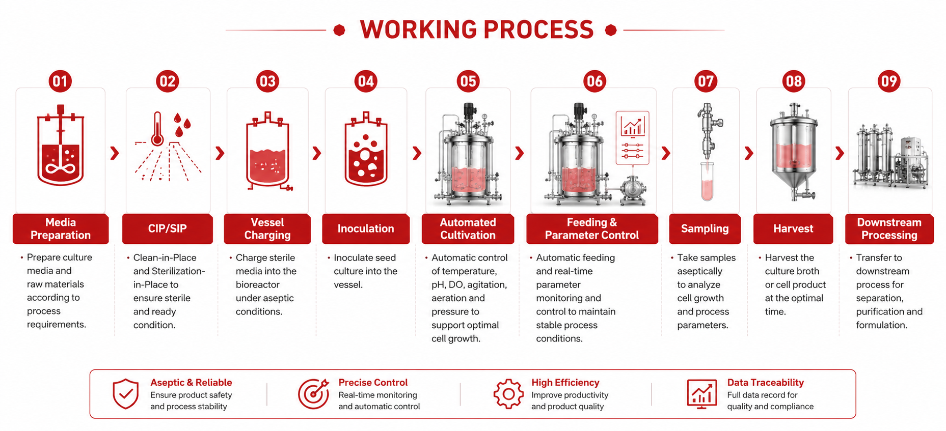 Working Process